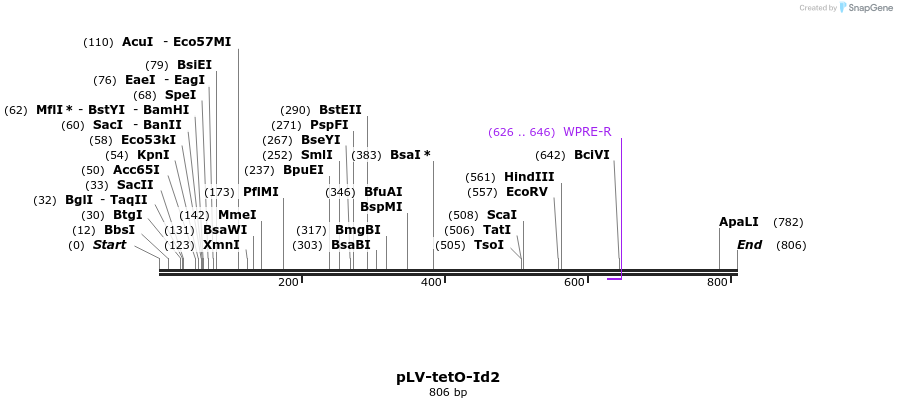 129918_map