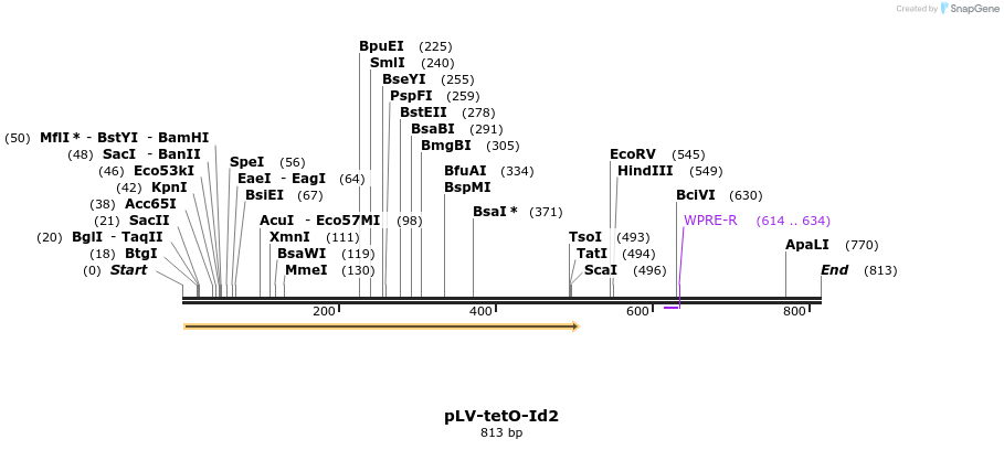 129919_map