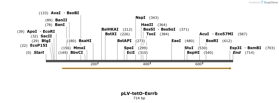 129936_map