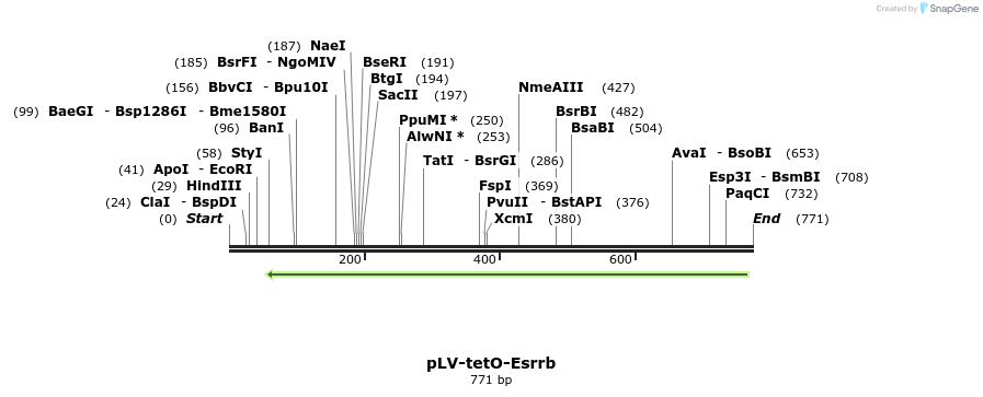 129937_map