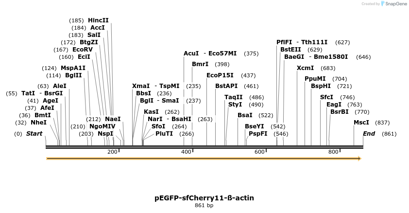129947_map