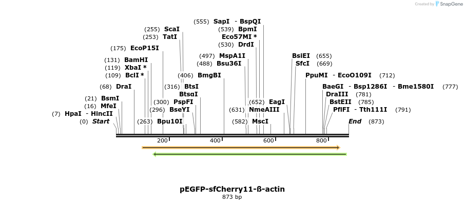 129949_map