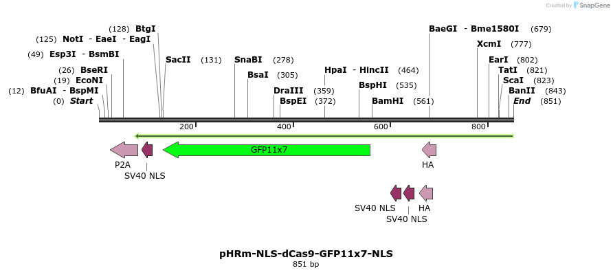 129953_map