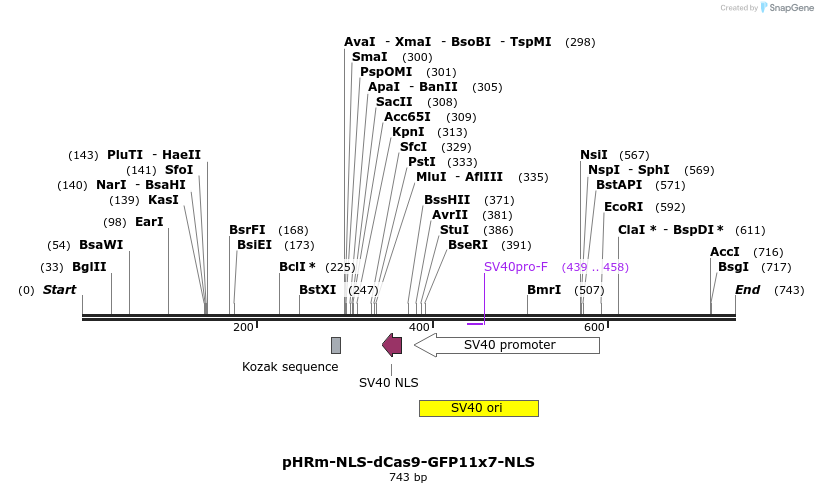 129954_map