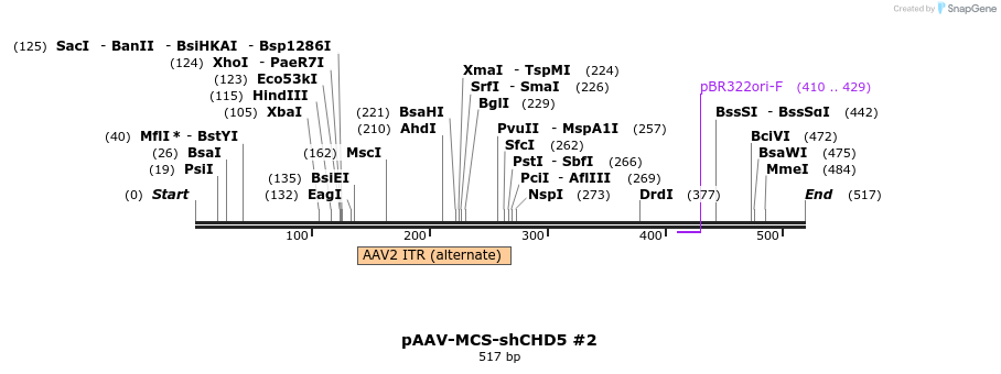 129958_map