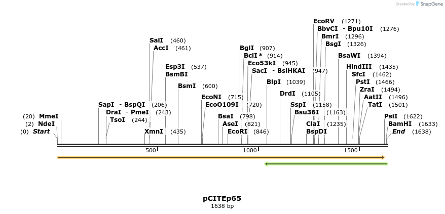 12996_map