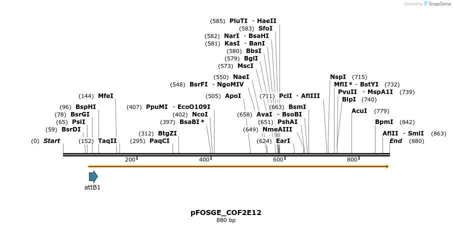 129965_map