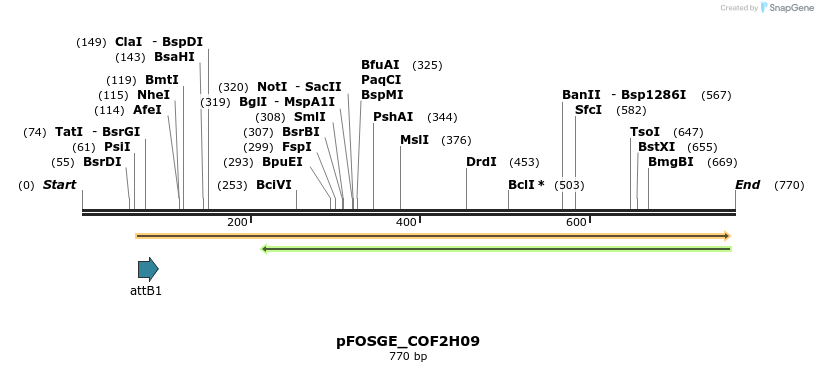 129967_map