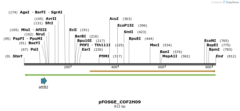 129968_map