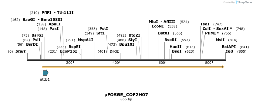 129969_map