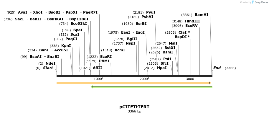 12997_map