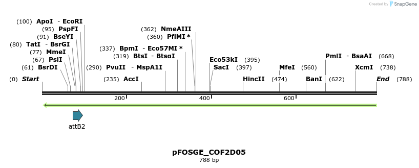 129976_map