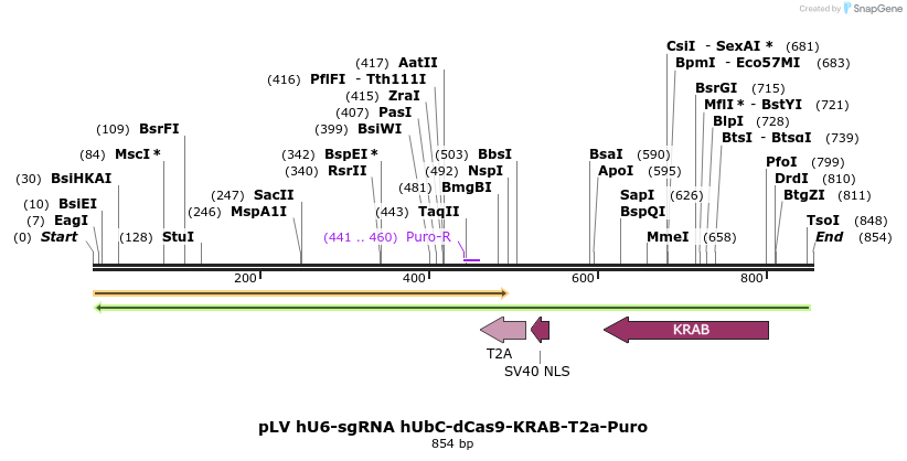 129977_map