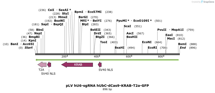 129980_map