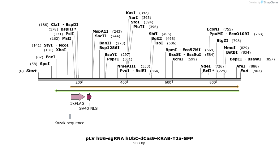 129981_map