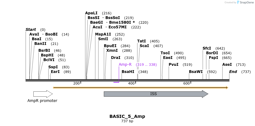 129986_map