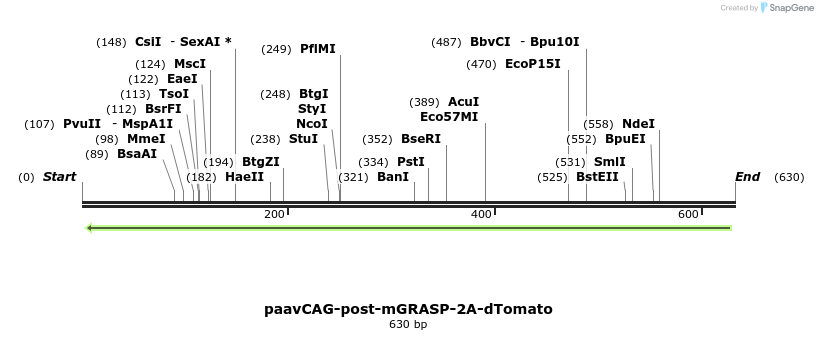 129987_map