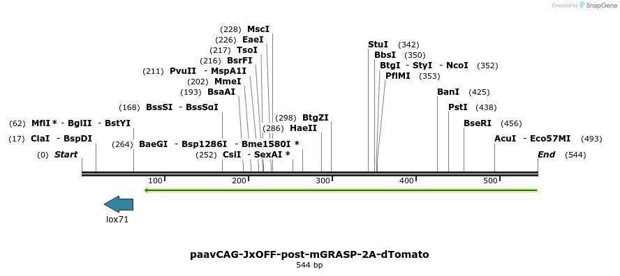 129991_map