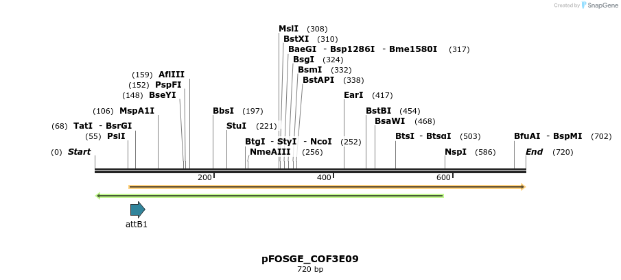 129996_map