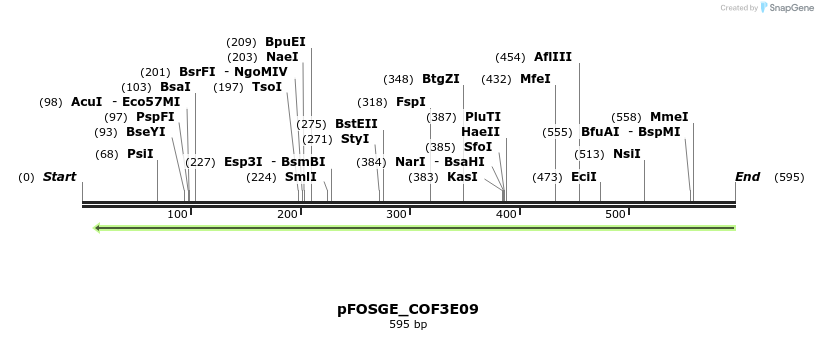 129997_map