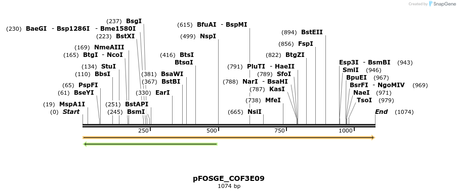 129999_map