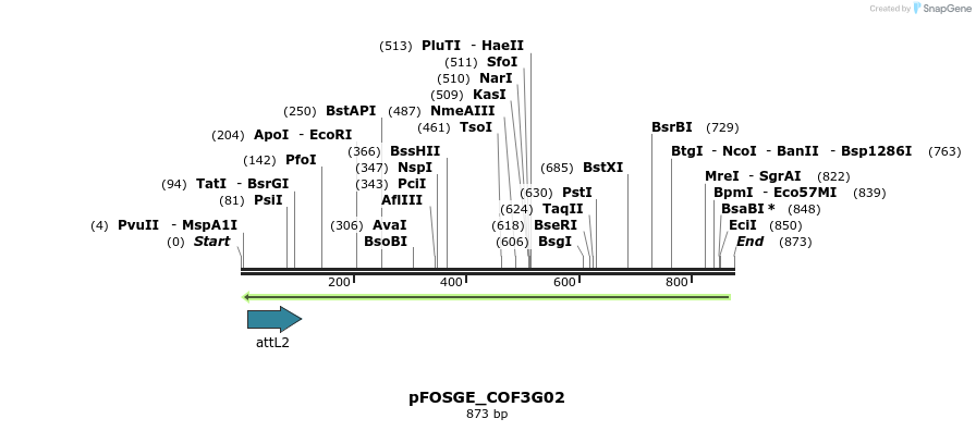 130011_map