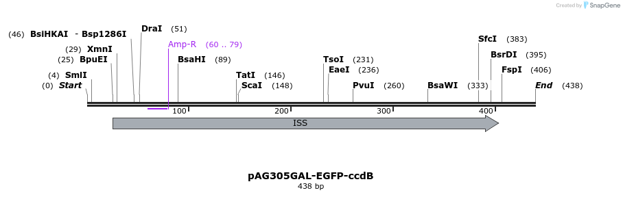130012_map