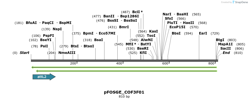 130016_map