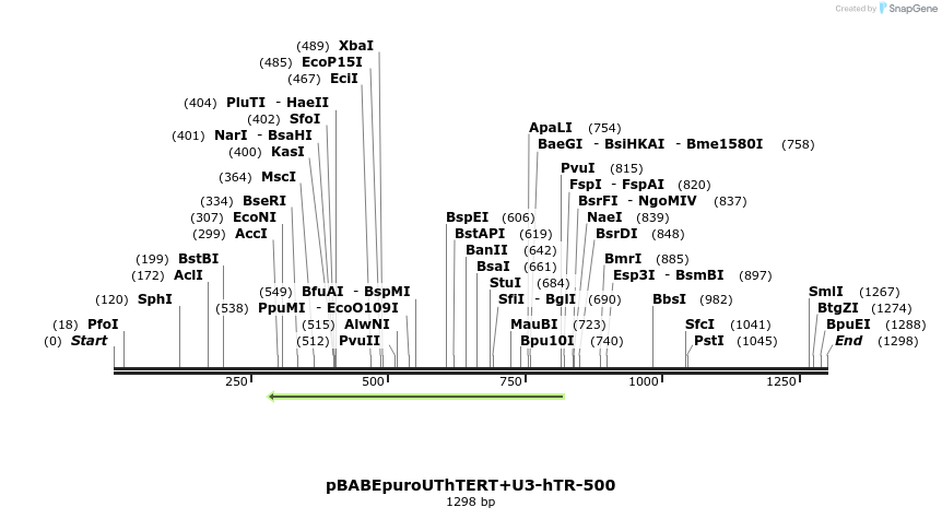 13002_map