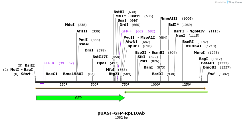130024_map