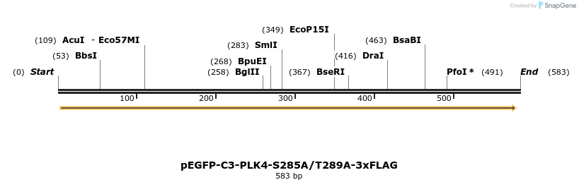 130025_map