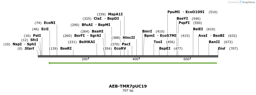130027_map