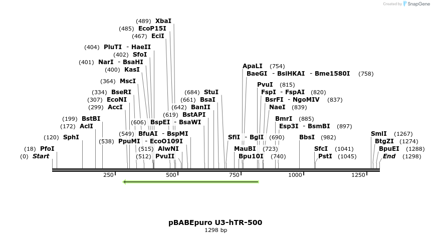 13003_map