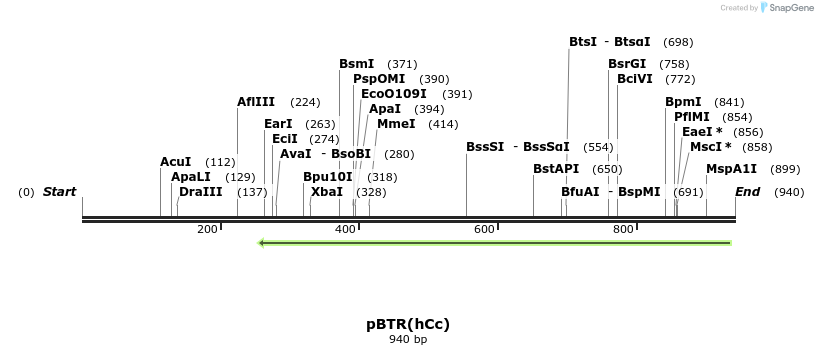 130034_map