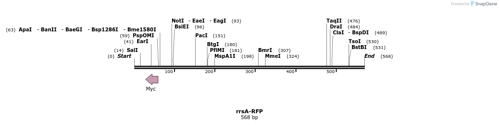 130037_map