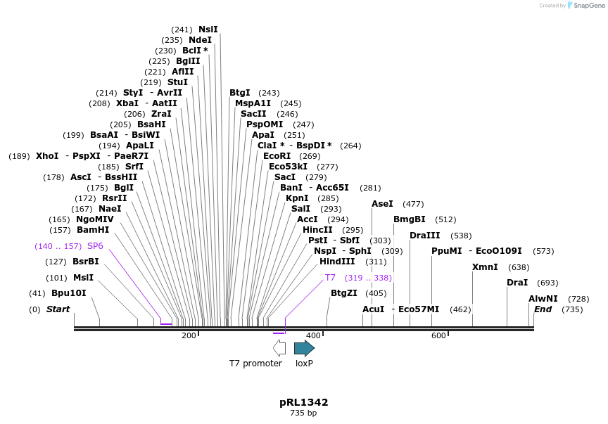 130050_map