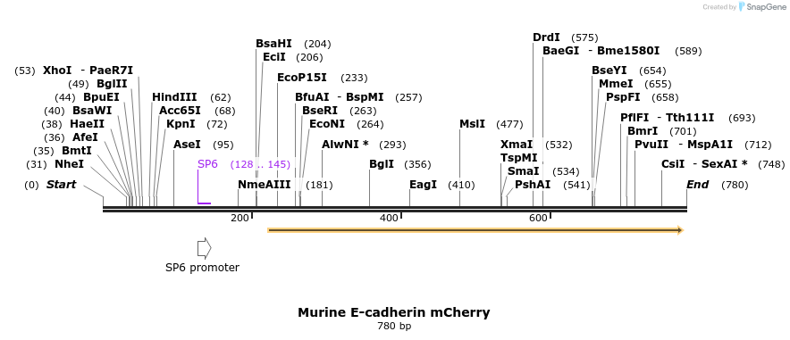 130053_map