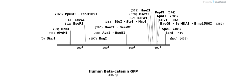 130057_map