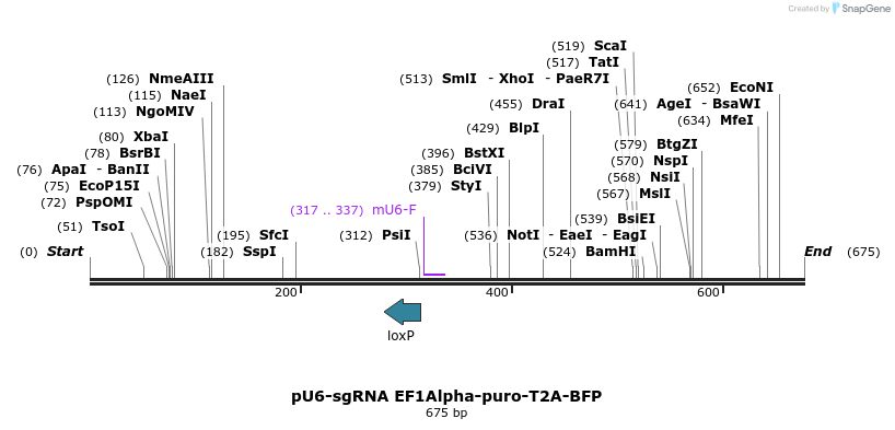 130062_map