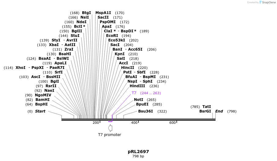 130077_map