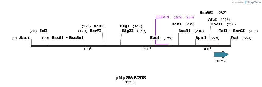 130094_map