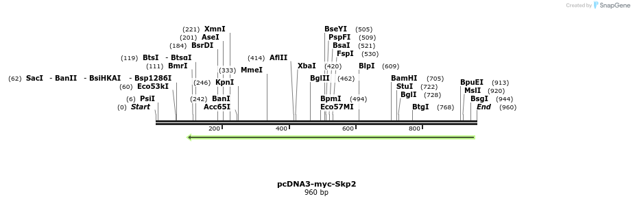 130095_map