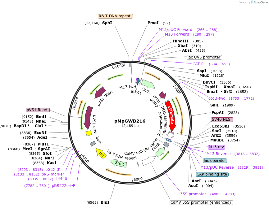 130097_map
