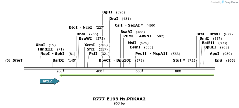 130103_map