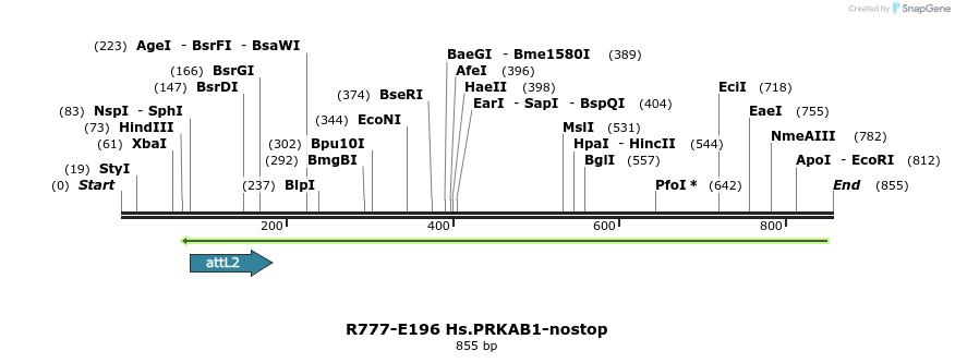 130111_map