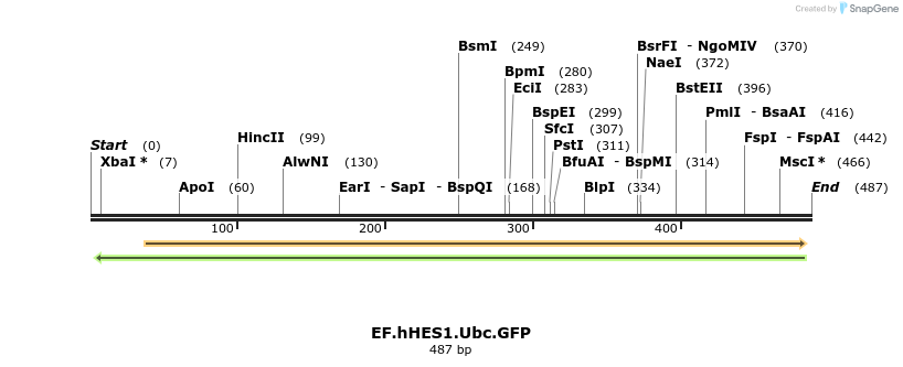 130112_map