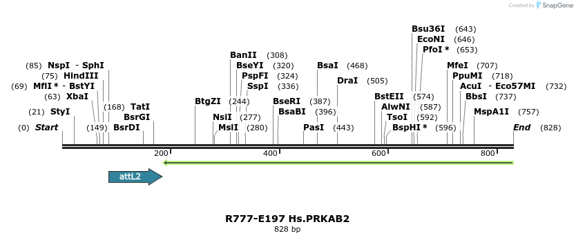 130113_map