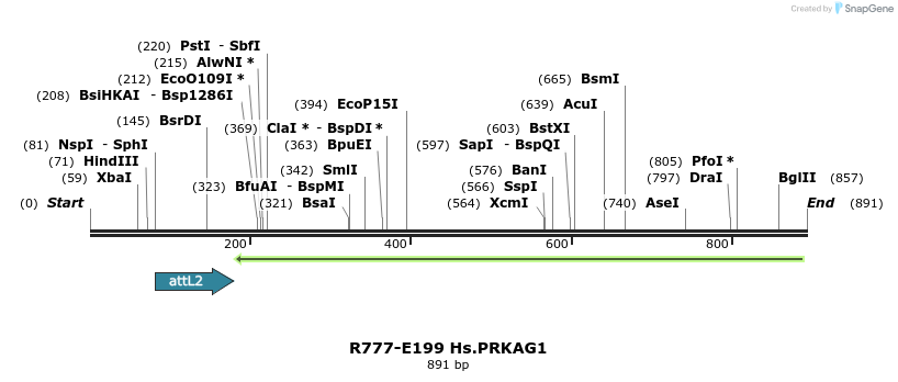 130118_map