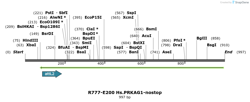130119_map