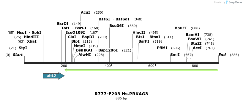 130128_map